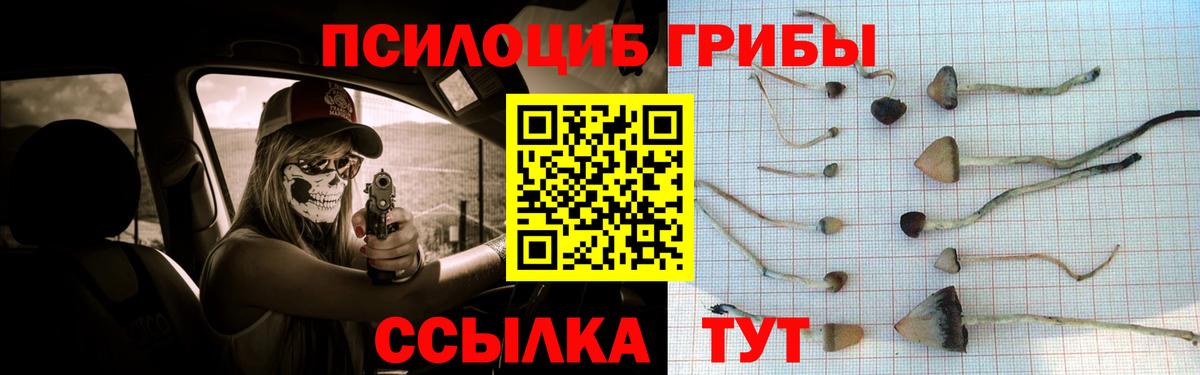 Ачинск  Псилоцибиновые грибы мухоморы  Вход с VPN 